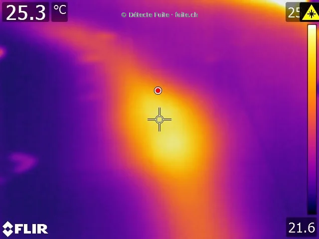 Image FLIR avec une zone plus chaude et une échelle de température